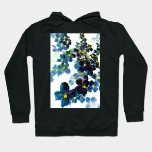 Designer 103365 x12 Hoodie